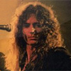 Rough Ready An' Willing DVD -  Whitesnake