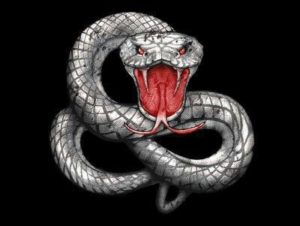whitesnake