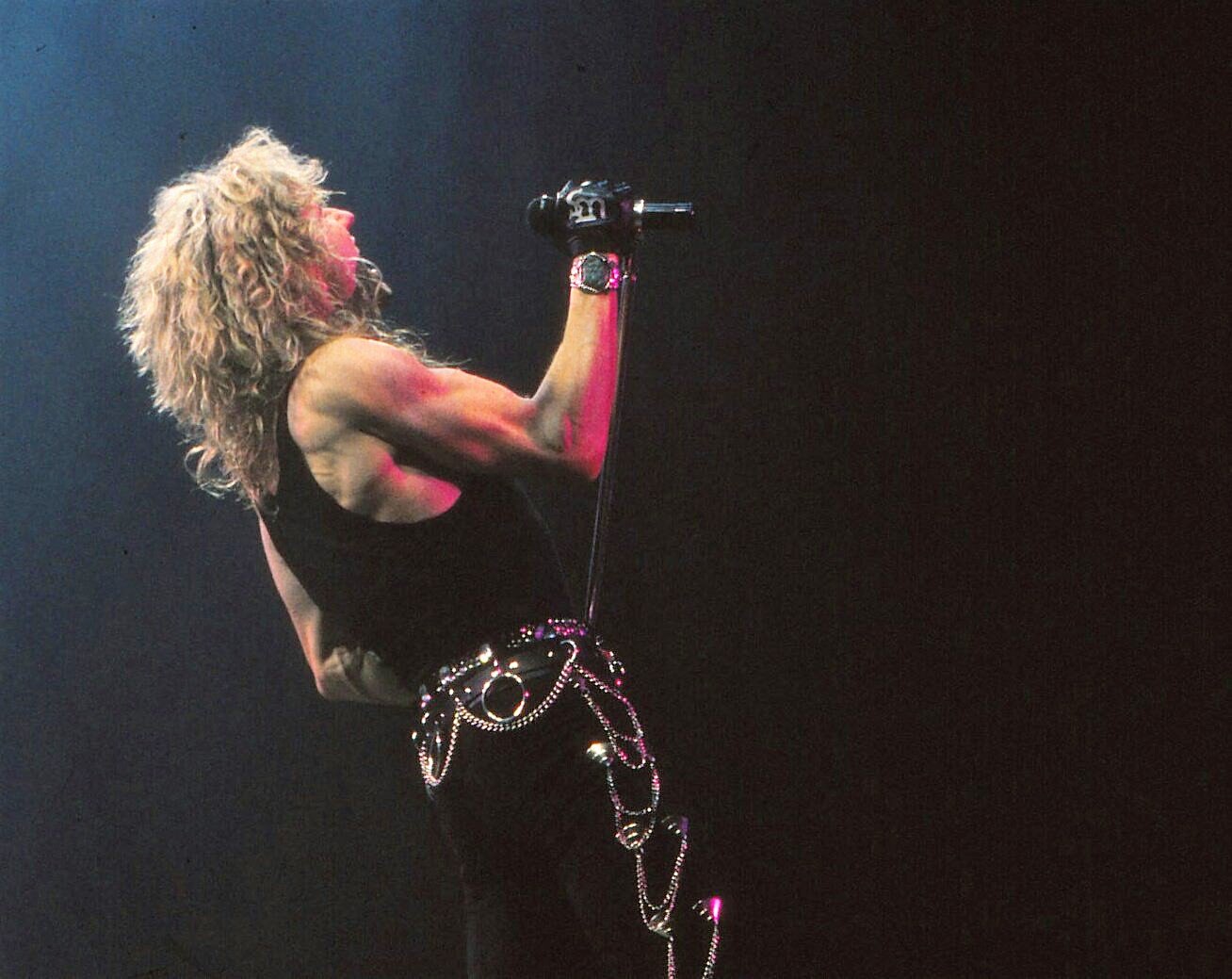 David Coverdale (1988)