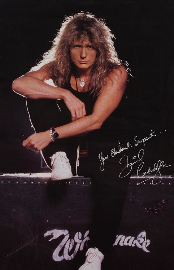David Coverdale (1987)