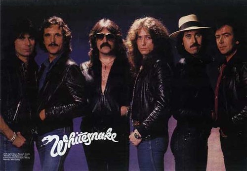 Whitesnake (1983)