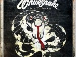 Box 'O' Snakes: The Sunburst Years 1978-1982