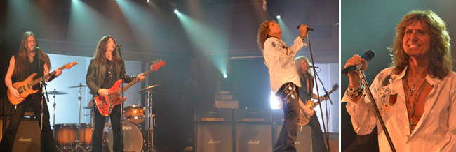 whitesnake 2011